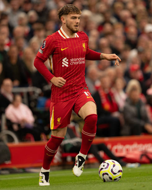 给我们的启 给我们的启