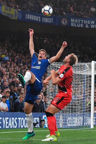 制定精细且 制定精细且